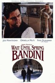 Wait Until Spring, Bandini filmas