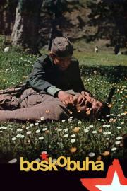 Boško Buha filmas