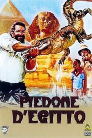 Piedone d'Egitto filmas