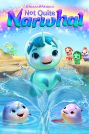 Not Quite Narwhal filmas