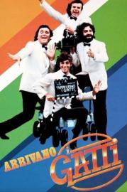 Arrivano i gatti filmas