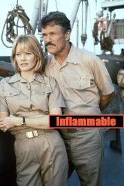 Inflammable filmas