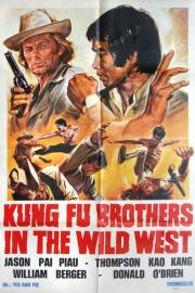 Kung Fu Brothers in the Wild West filmas