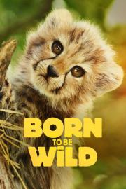 Born to Be Wild filmas