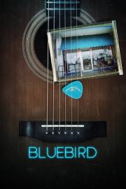 Bluebird filmas