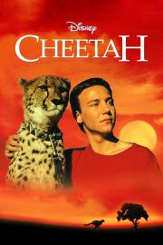 Cheetah filmas