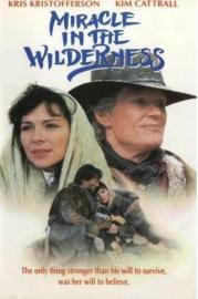 Miracle in the Wilderness filmas