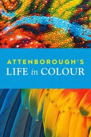 Attenborough's Life in Colour filmas