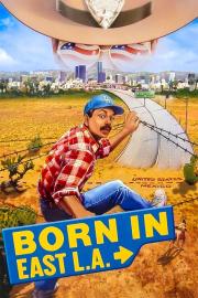 Born in East L.A. filmas