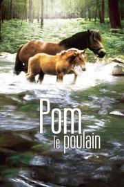 Pom, le poulain filmas