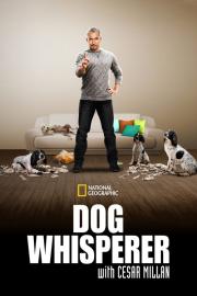 Dog Whisperer filmas