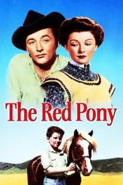 The Red Pony filmas