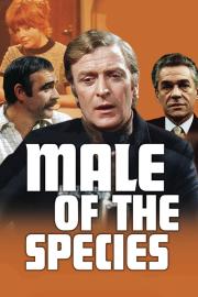Male of the Species filmas