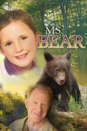 Ms. Bear filmas