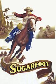 Sugarfoot filmas