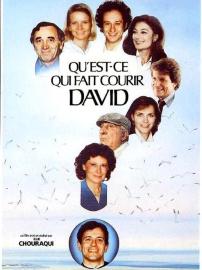 Qu'est-ce qui fait courir David ? filmas