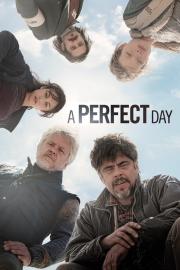 A Perfect Day filmas