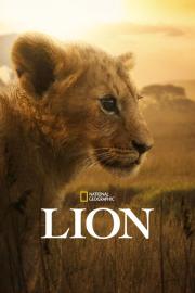 Lion filmas