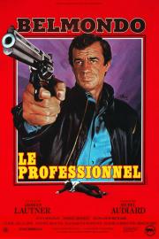 Profesionalas filmas