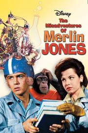The Misadventures of Merlin Jones filmas