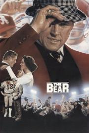 The Bear filmas