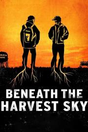 Beneath the Harvest Sky filmas