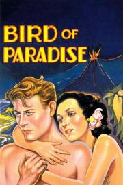 Bird of Paradise filmas