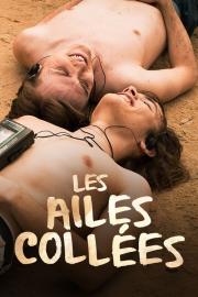 Les Ailes collées filmas