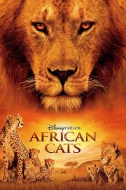 African Cats filmas