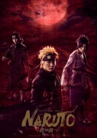 ライブ・スペクタクル NARUTO -ナルト- 〜暁の調べ〜 filmas