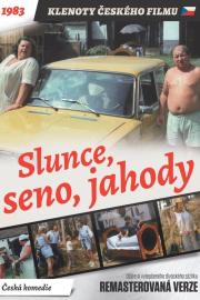 Slunce, seno, jahody filmas
