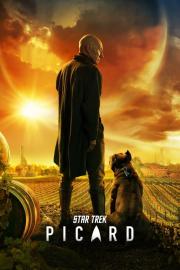 Žvaigždžių kelias: Picardas filmas