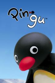 Pingu filmas