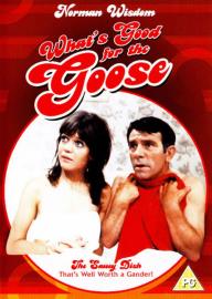 What's Good for the Goose filmas