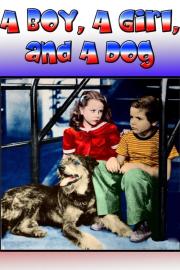 A Boy, a Girl and a Dog filmas