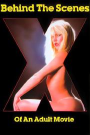 Behind the Scenes of an Adult Movie filmas