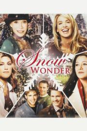 Snow Wonder filmas