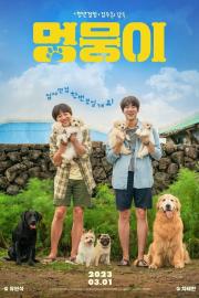My Heart Puppy filmas