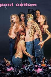 Post Coitum filmas