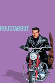 Roustabout filmas