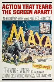 Maya filmas