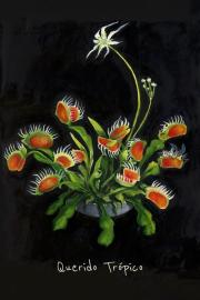 Querido Trópico filmas