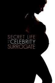 Secret Life of a Celebrity Surrogate filmas