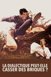 Can Dialectics Break Bricks? filmas