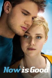 Now Is Good filmas
