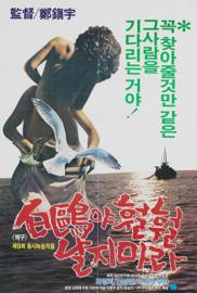 A White Feathered Gull filmas