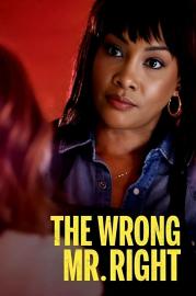 The Wrong Mr. Right filmas