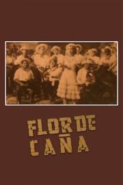 Flor de caña filmas