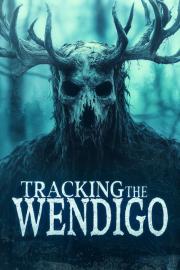 Tracking the Wendigo filmas