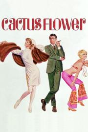 Cactus Flower filmas